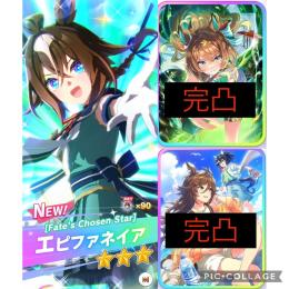 【初期垢】石9万 5.5周年サポカ完凸 エピファネイア