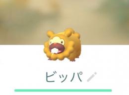 【アカウント】色違いビッパ