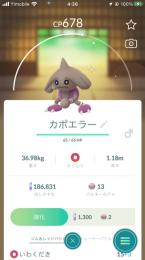 カポエラー色違い　地域限定69匹