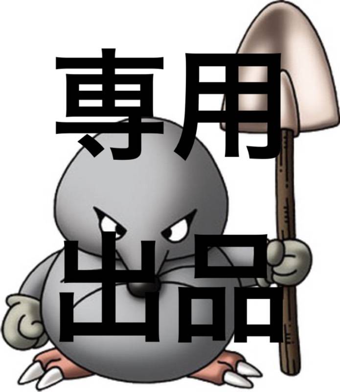 出品画像