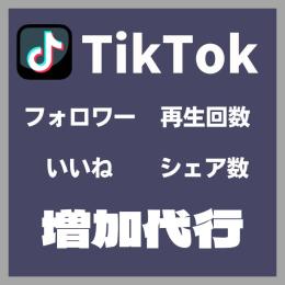 TikTok フォロワー/いいね/再生回数/シェア数 増加いたします（減少保証付き）