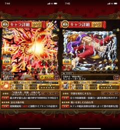 ニカ カイドウ