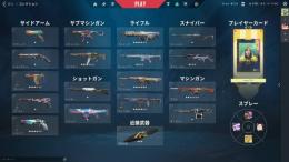 VALORANT引退垢 人気スキン多数