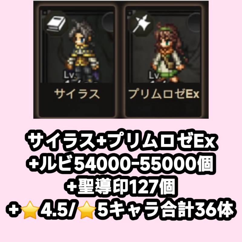 出品画像