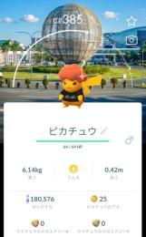 ふりふさま専用