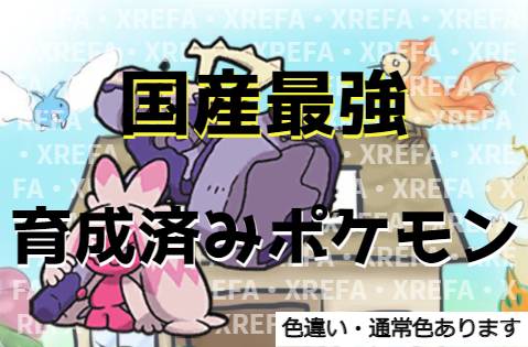 出品画像