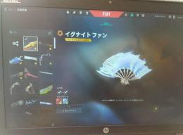 ★限定スキン多数！超貴重格安★