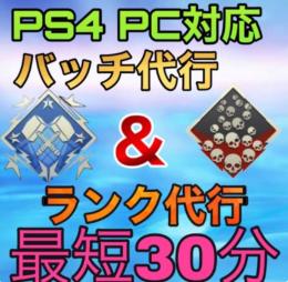 総合実績150件以上【最安値】PC ダブハン爪痕3000円＆ランク代行