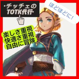 🌈節度のあるティアキン代行〜🧚‍♀️楽しさ・快適さを求めて〜☁️