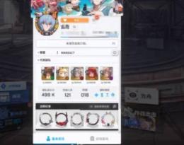 16引退垢 戦力499K  シンクロレベル335   サーバー日本