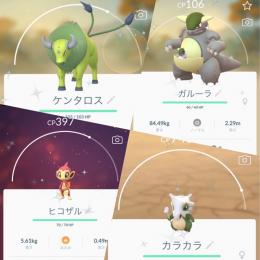 色違い ガルーラ ケンタロス ヒコザル 海外地域限定ポケモン ポケモンgoのアカウント売買サイト