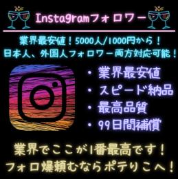 【業界最安値・最速】Instagramフォロワー 5000人　⭐︎99日間減少自動補填