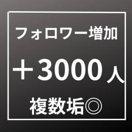 フォロワー増加 3000人〈安心365日間保証〉〈複数垢◎〉〈お振り分けアカウント上限なし〉