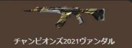 希望スキン垢探します❗手元にアカウントあります