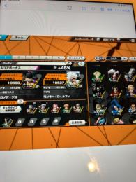 ニカ、ゾロ．100レベアカウント‼️