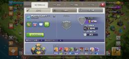 th14 エメラルド3262個 2015年からプレイ+ブロスタ13000トロフィーのオマケ