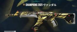 21,24チャンピオンスキン他　引退