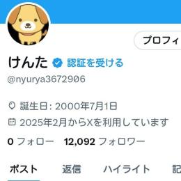 【値下げ中】Twitterアカウント フォロワー12000人 高インプレッション 高いいね