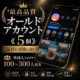 最高品質オールドアカウント《5個》【品質に妥協しない】外国人フォロワー100〜300人付き