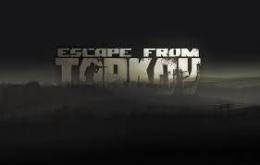 EFT 1000万 ルーブル 導入 代行 最速&複数OK レベル代行対応可