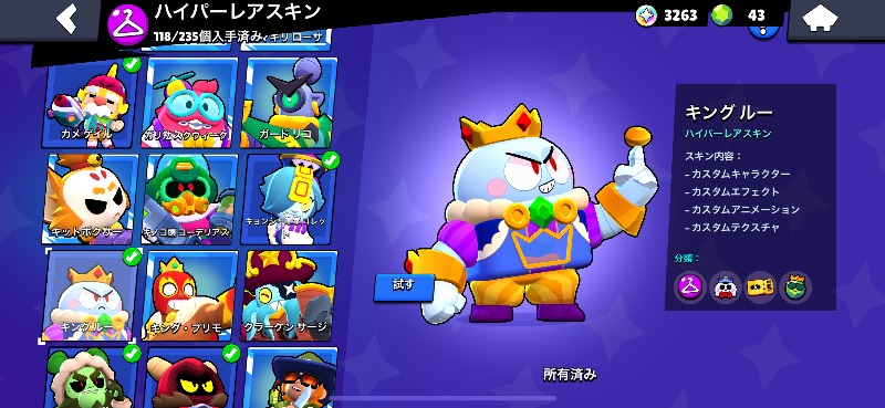 出品画像