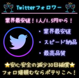 【業界最安値・最速】Twitterフォロ爆　1000人　高品質　減少30日補償　⭐︎増加動画あり⭐︎