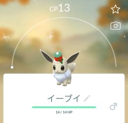 【国産色違い】ホリデーハットイーブイ色違い9匹