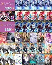 覇権 🔵石8212個分✨Lv120 Uオルガマリー、水着紅閻魔、Lv120ソロモンら宝具5✨人権網羅