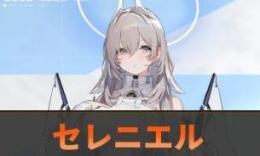 セレニエル+クリスタル20000レスキューアンカー165前後＋シグナルアンプ65前後