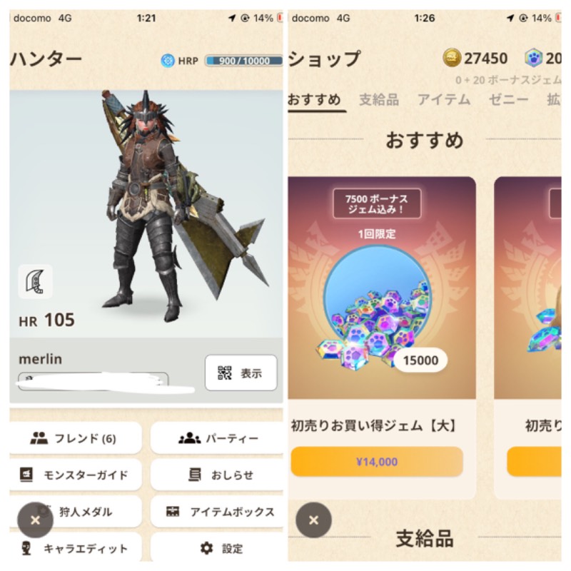 出品画像