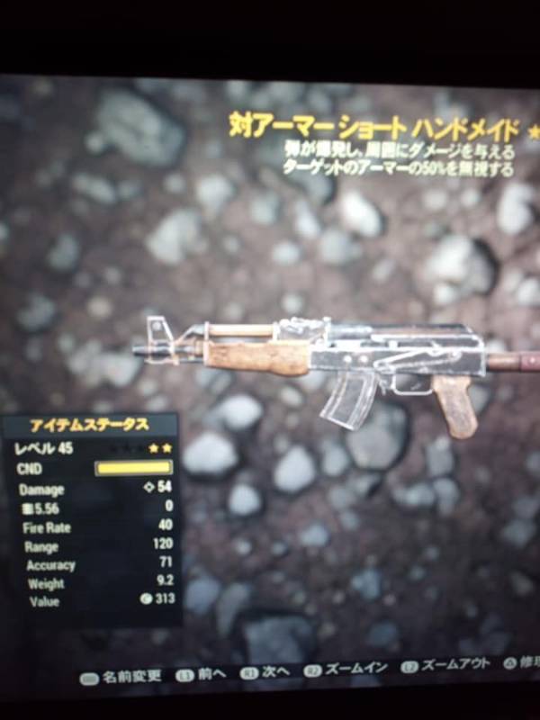 出品画像