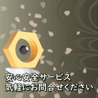 色違い所持アカウント ラブカス ヒメグマ コロモリ ハネッコ 7 2 ポケモンgo ゲームクラブ