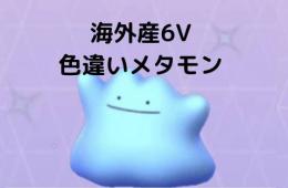 ✨6Vメタモン海外産・全性格・持ち物✨ 即日対応