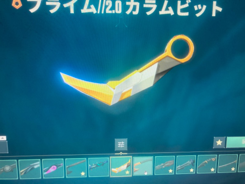出品画像