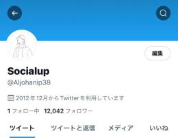 気取り垢 1.2万フォロワー 即購入OK