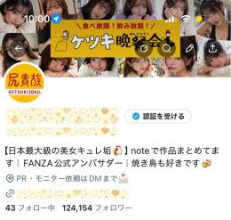 【フォロワー約１２.４万人】アダアフィ・美少女系 / 運用資料付 