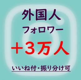 インスタフォロワー・振り分け可【外国人】3万人・いいね500＆保証付き ★小幅減少