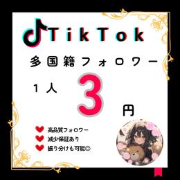 【Tik Tok】フォロワー増加　500人　振り分けOK!