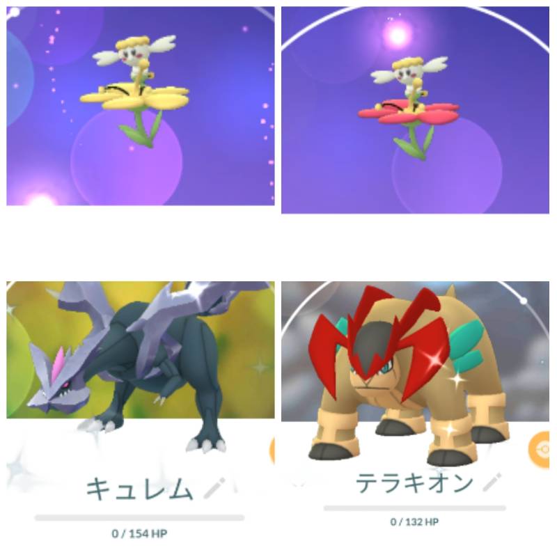 東京産色違いキュレム テラキオン 通常フラベベ赤 黄 アカウント販売 ポケモンgo ゲームクラブ
