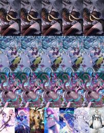 聖晶石2600 リリス宝具5 ロウヒ宝具5 水着伊吹童子宝具5 ★5鯖17体