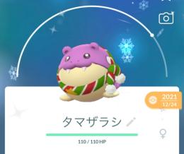 【色違い所持アカウント】イベントタマザラシ♀、ユキカブリ♀