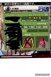 スターホース引退　ゴールド5 レベル赤色の30