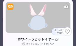 ラビットセット