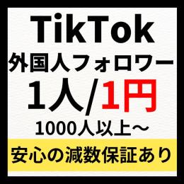 たーちゃん様向け専用出品　高品質TikTok外国人フォロワー2000人増加代行