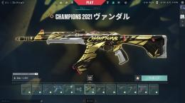 VALORANT 引退アカ 課金23万↑ 古参
