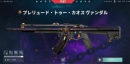 格安！カオス有り！引退垢！