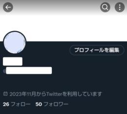 【今から始める方向け】シャドウバン無し 日本人高アクティブアカウント🧊固ツイ♡105↑