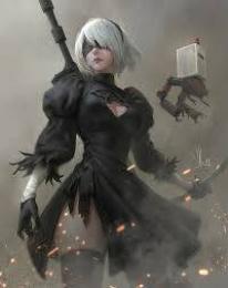 2B+LR1+クリスタル17万-20万個+アーク13～20+各種チケット200枚+万能石999