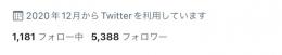 日本人フォロワー　5300人↑