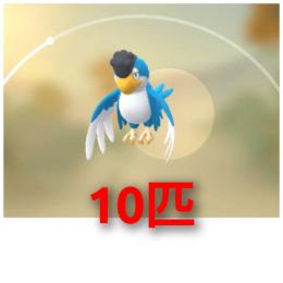 No.368【PTC】西半球限定✨イキリンコ（ブルーフェザー）